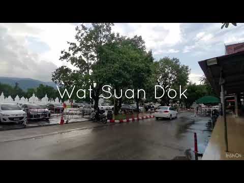 Wat Suan Dok | วัดสวนดอก #Chiangmai #Thailand
