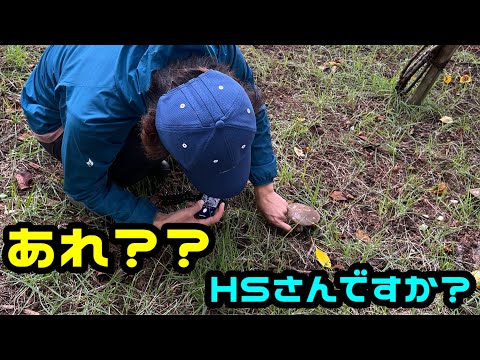 園芸 キノコ狩り