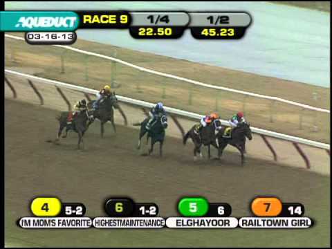 Elghayoor - 2013 Cicada S.