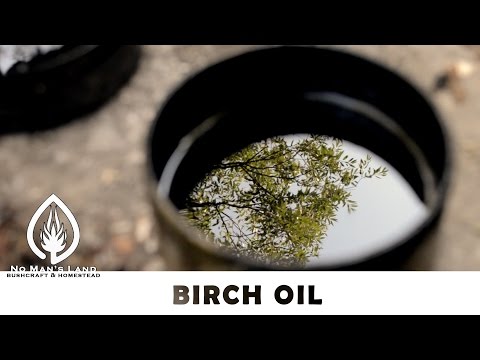 Birch oil