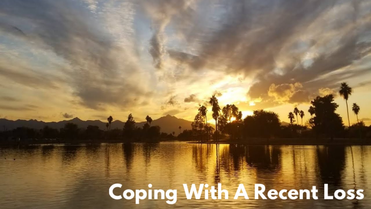 Pet Loss Series | Coping with a Recent Loss