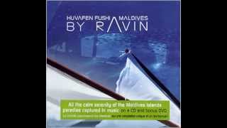 Cornucopia- Circle Of Clowns by D.J Ravin