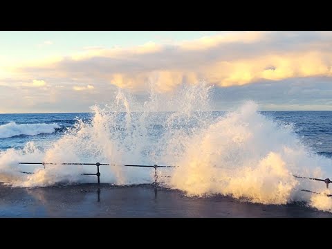 Евгений Дога и Раймонд Паулс. Мой Ласковый и Нежный Зверь, Долгая Дорога В Дюнах и другие.