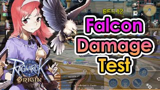 [ROO] What Stat Truly Impacts Falcon Damage? Falcon Damage Test | KingSpade