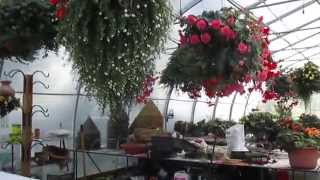 preview picture of video 'Skamokawa Gardens Nursery, Skamokawa, Washington'