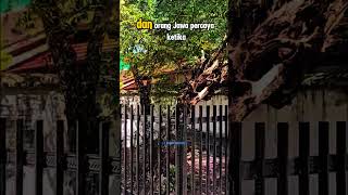 Download lagu Viral Pohon Pengikat Petir Ki Ageng Selo #Viral #shortsviral #tranding mp3