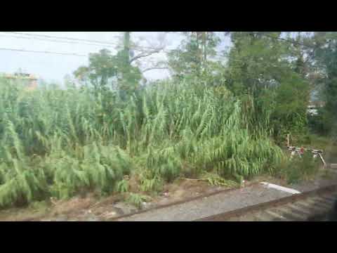 Treno Regionale Napoli Centrale-Roma- Termini