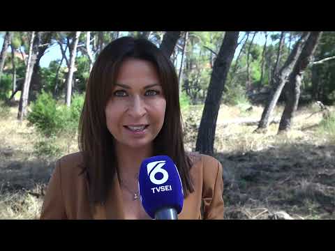 A Pescara nasce il percorso dannunziano Fidal