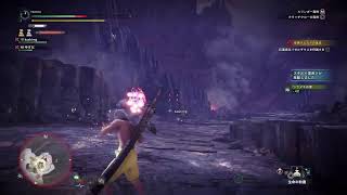 ［珍珍亭］モンハン実況　氷地獄