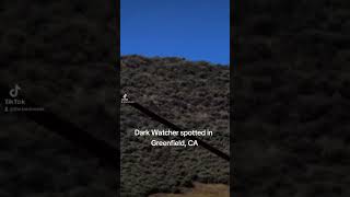 Dark Watcher spotted in Greenfield, CA on May 21, 2023 at 10:23am. Submitted by Anonymous.