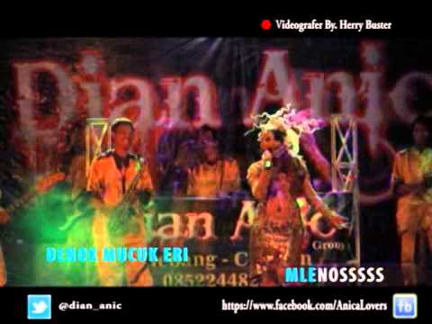 MLENOS - DIAN ANIC Album Baru 2014