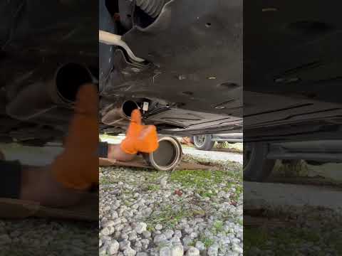 BMW OWNERS AFTER CATLESS DOWNPIPE INSTALL #B58 #burnout #mhd #440i #f36