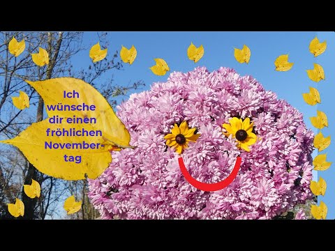 Hab einen fröhlichen Novembertag 🎶🍂
