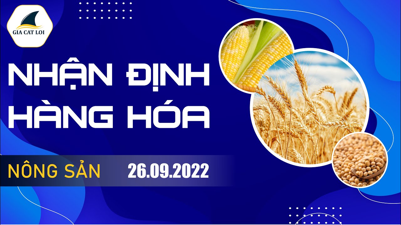 Nhận Định Thị Trường Nông Sản Ngày 26/09/2022