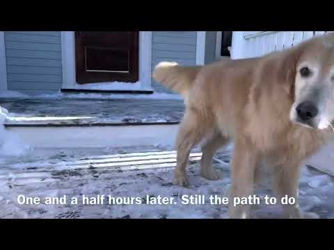 One foot of snow in Newton MA Jan 30 2022 and two hours to shovel out