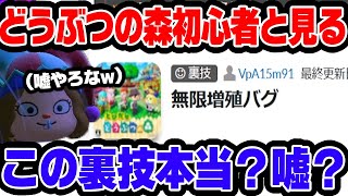 どう森初心者なら無限増殖バグ知らない説