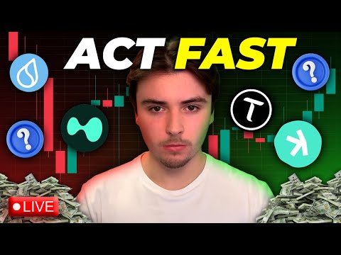 I'm Betting BIG on These Altcoins For The Next 6-12 Months!