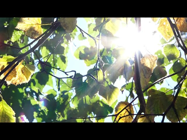 Каким будет октябрь?