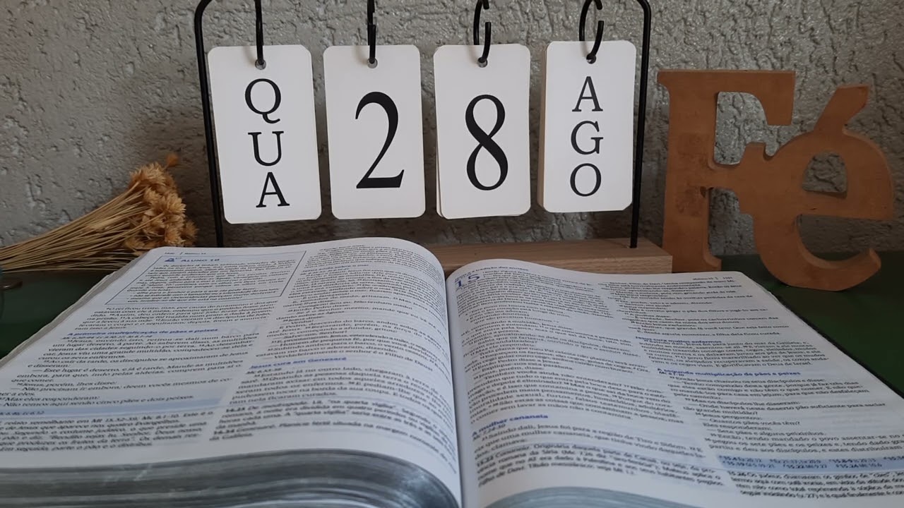 Meditação diária ⚘️ 28/08/2024