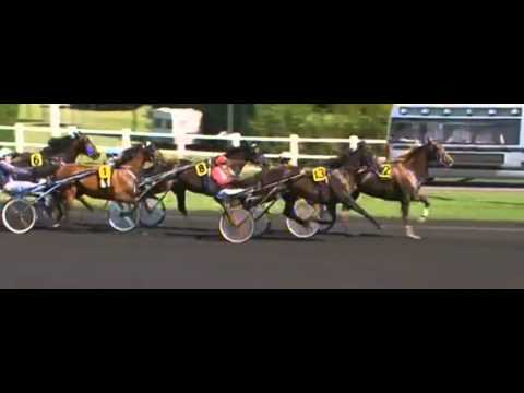 Finale European Trotting Masters 2013_Ready Cash 1:11,9_F. Nivard