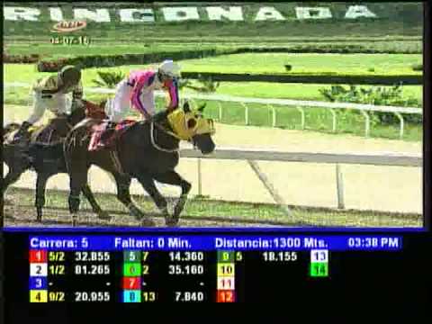 Resumen Sábado, 04 de Julio de 2015 - La Rinconada