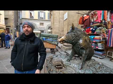 The Bronze Pig of Florence, Italy - Il Porcellino