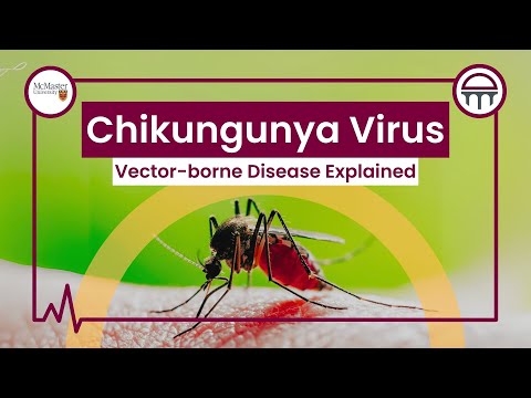 Chikungunya Virus: A Vector-borne Disease Explained