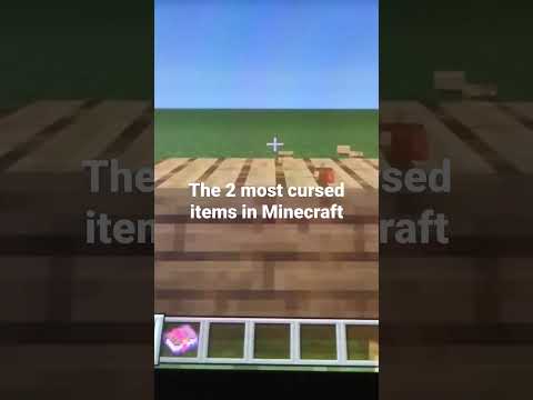 Minecraft The 2 Most Cursed Items