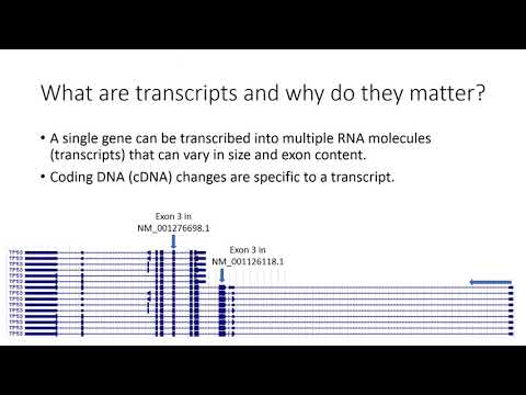 Introduction to Genome Builds and Transcripts