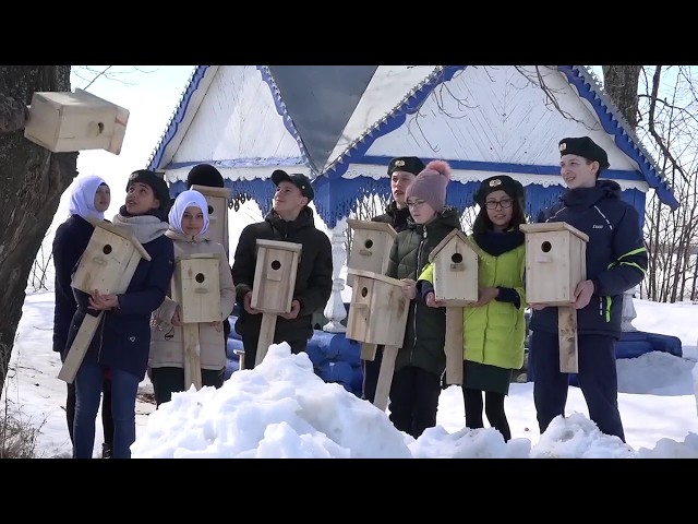 Ученики охраняют природу, скворцы обретают дома