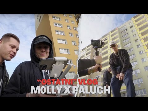 M0LLY ft. Paluch - Ostatni VLOG (wiemy co na to Paluch!)