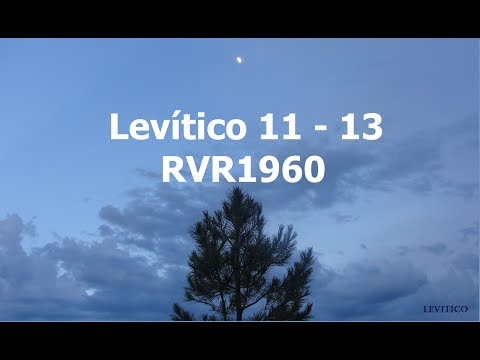 The Spoken Bible/Leviticus 11-13