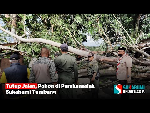 Tutup Jalan, Pohon di Parakansalak Sukabumi Tumbang
