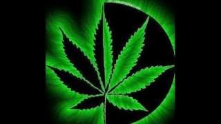 Novo Dia - Ponto De Equilíbrio .