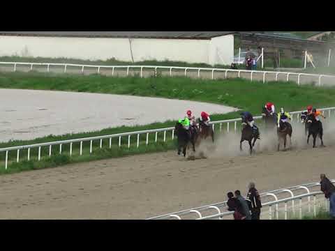 1.5.2022 VII Trka - MAZZANTI - Hipodrom Beograd