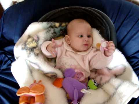 Aprendendo a Colocar o Bico