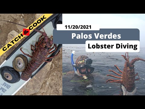 Catch & Cook - Spiny Lobster and...Keyhole Limpet?!?!