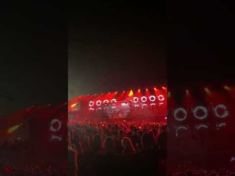 Nibirii Festival 2024 #trending #techno #rave #viralvideo #festival #live #electronicmusic #dj #fyp