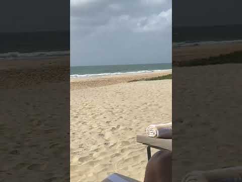 Peace In Rest In Beach With Mallika Sherawat