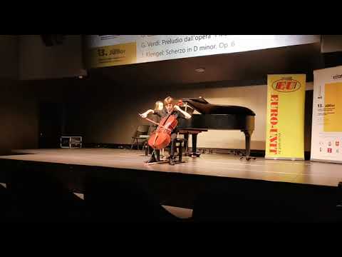 Mattia Midrio Janigro Cello Competition 2022