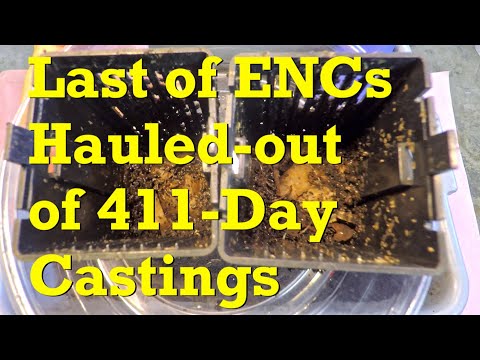 Final haul-out of baited ENC stragglers & 36-day worm bins fed - vermicompost