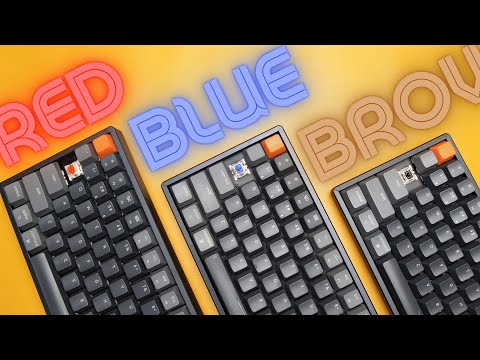 To CLICK, or not to CLICK? Keychron switches comparison