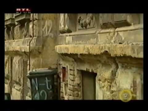 Weszélyes Elemek ,Kicsi Tyson - Fókusz