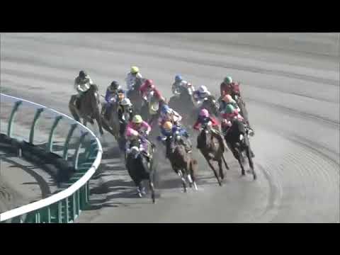2020.04.19 Keiyo Stakes (JPN) - Hiro Shige Gold