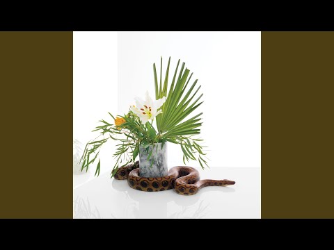 SEND THE RAIN (TO EVERYONE)