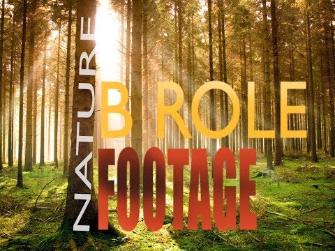 Nature B roll footage//handheld