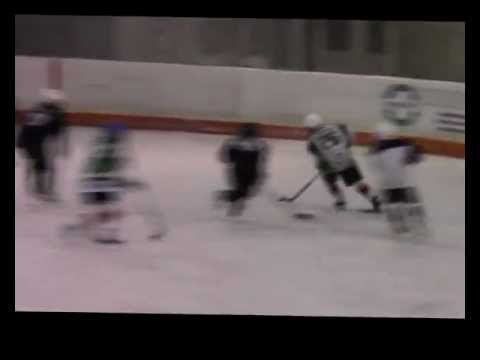 Veszprémi Jéglovagok