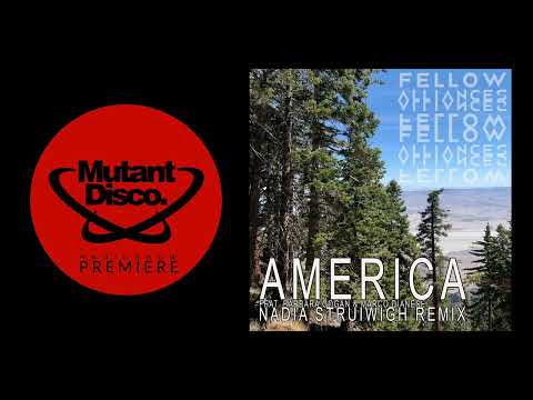 PREMIERE : Fellow Alliances feat. Barbara Gogan & Marco Dianese - America (Secret Lovers Records)