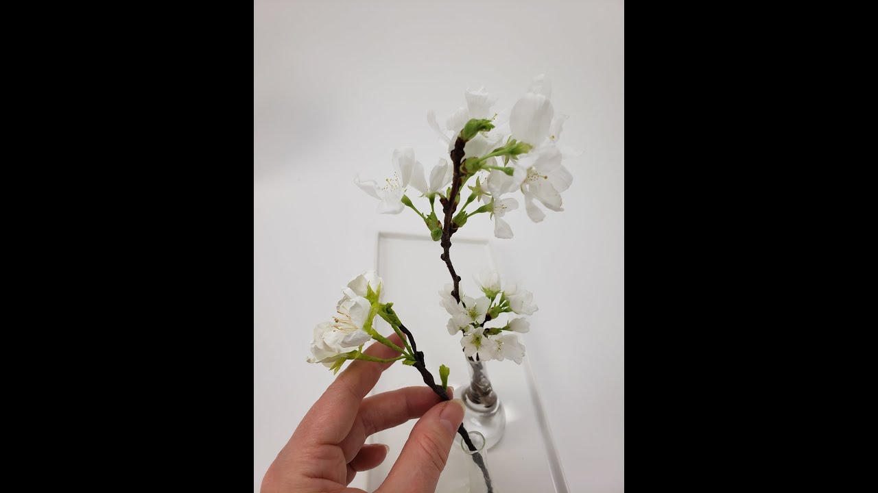 Coffee filter blossoms