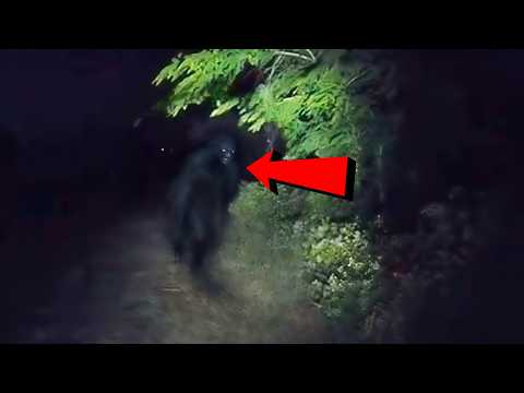 15 Scary Videos That Bring Nightmares to Life